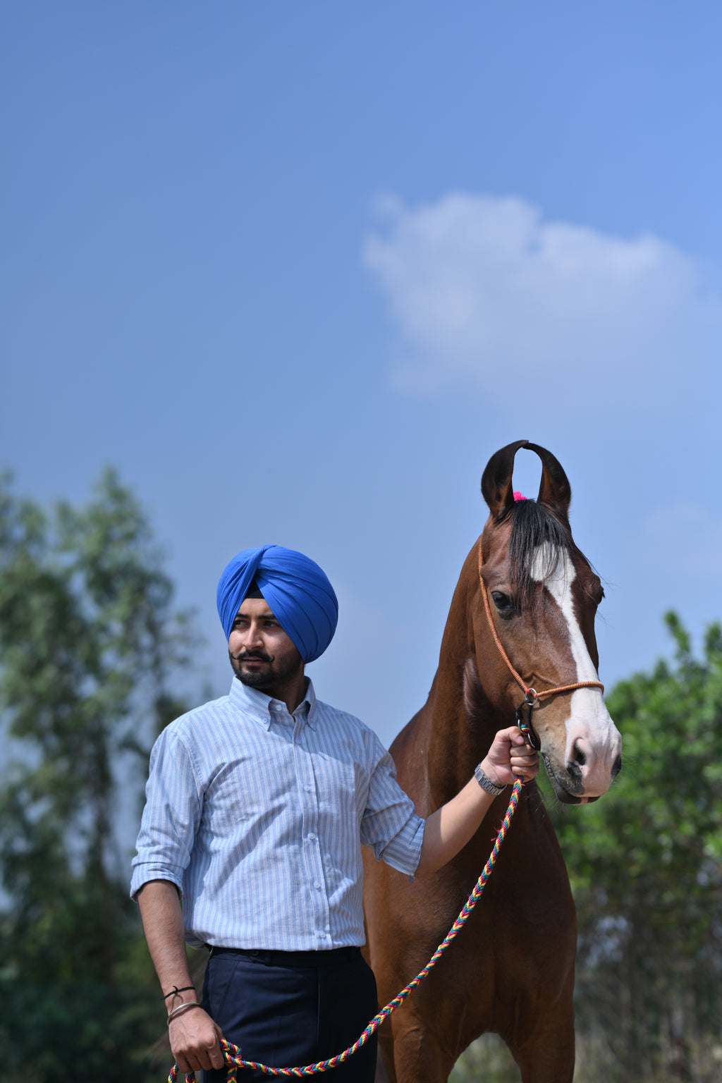 Falcon Azure Fine Stripe Oxford Shirt