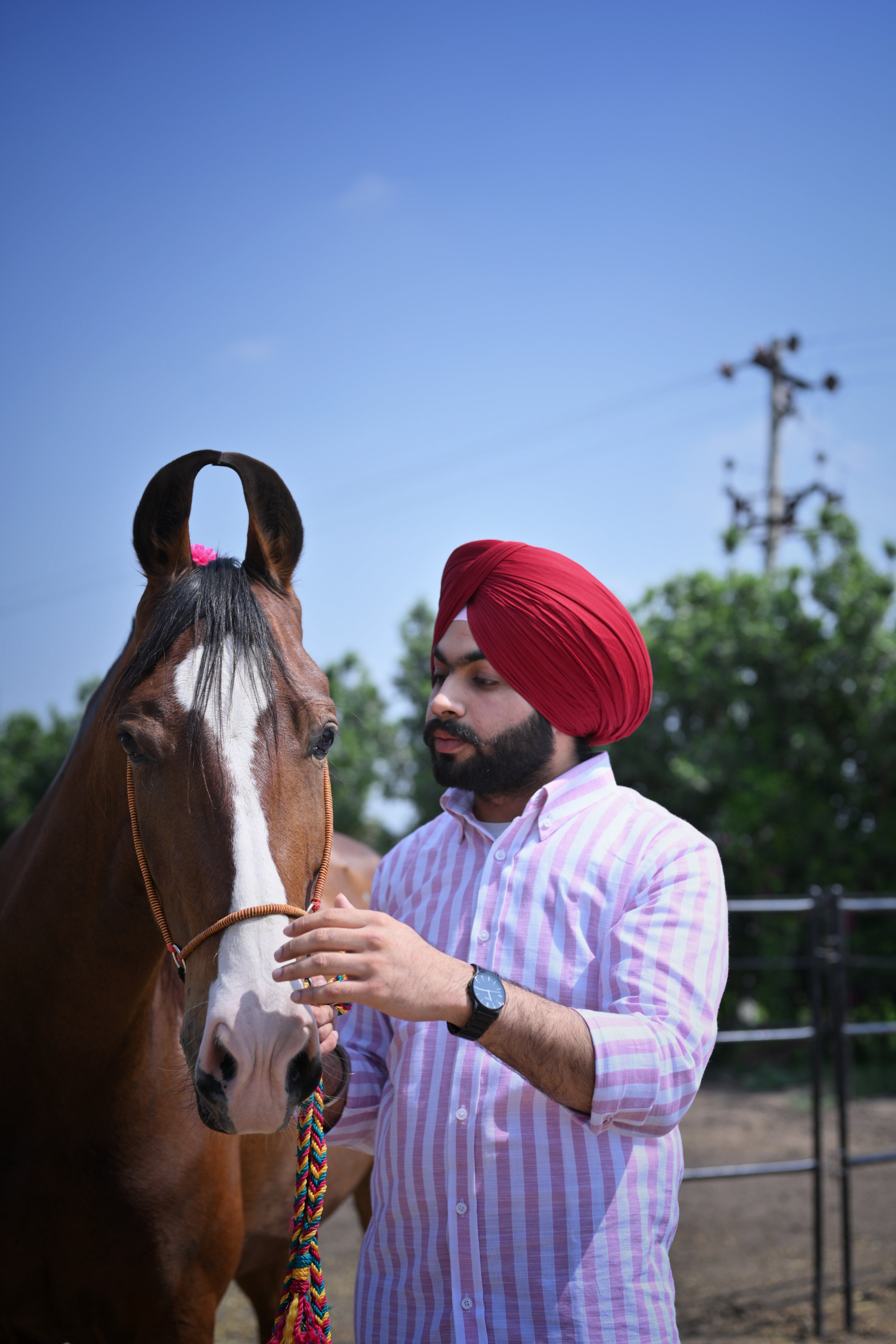 Falcon Summer Blush Linen Shirt