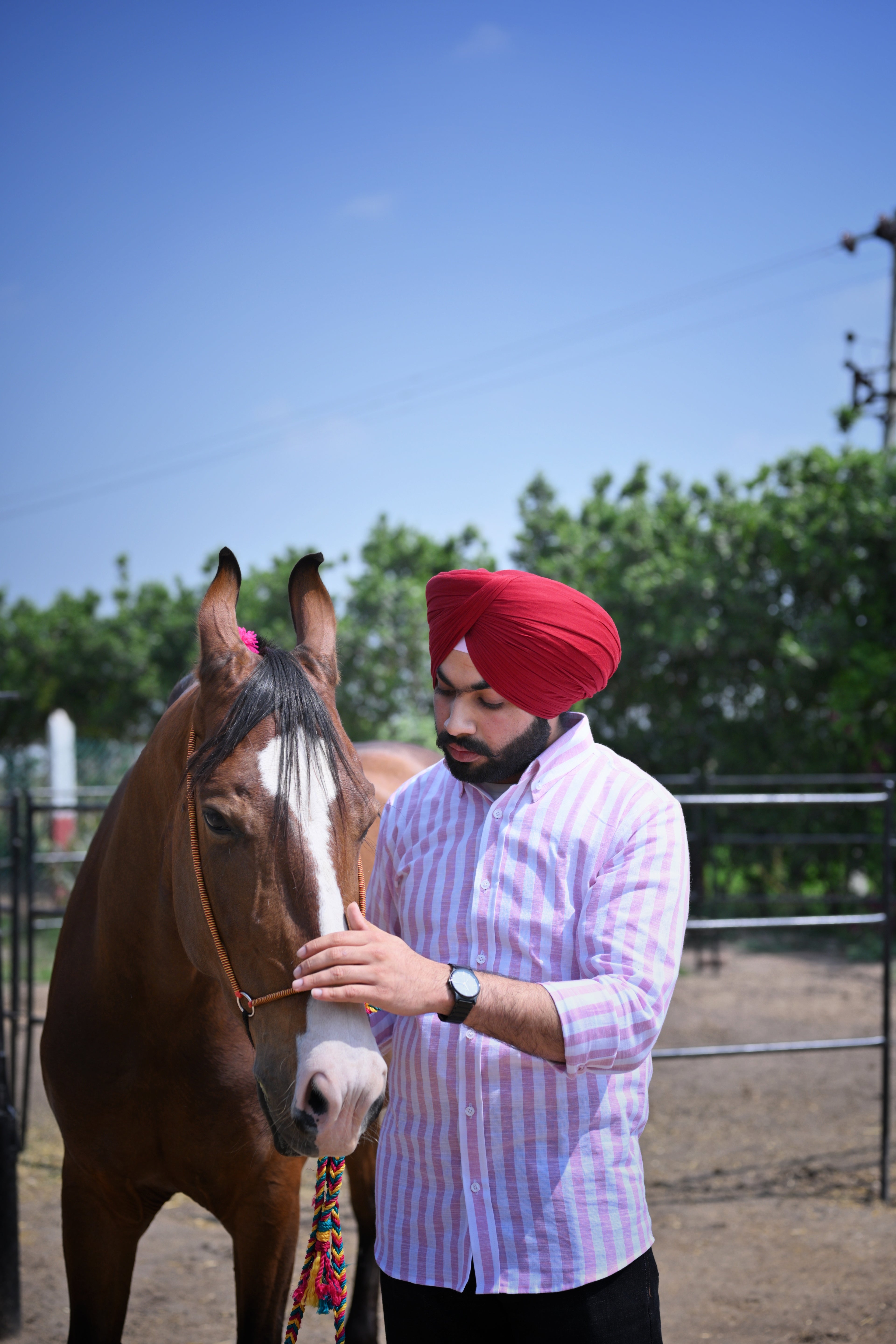 Falcon Summer Blush Linen Shirt